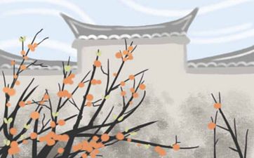 家庭咽喉之地 玄关地面风水解析