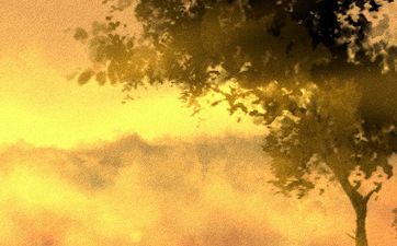 家庭风水阴气太重化解方法 勤开窗户