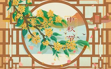 养茶宠金蟾有什么忌讳 切忌水煮