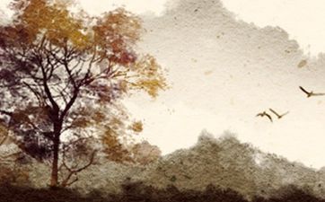 属龙人永远最旺的颜色 2025年属龙大忌颜色