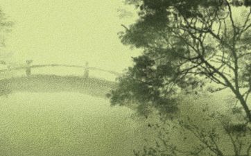 庭院风水树 庭院中什么树风水好
