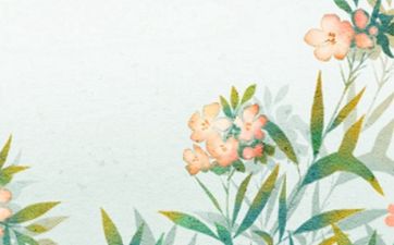奶茶店一般取什么名字好 寓意好的奶茶店名字
